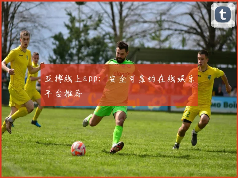 亚搏线上app：安全可靠的在线娱乐平台推荐