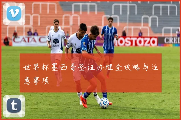 世界杯墨西哥签证办理全攻略与注意事项